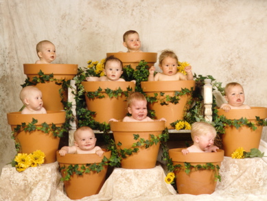 babies-in-flower-pots.jpg